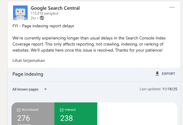 Laporan Delay Report Page Google Search Console